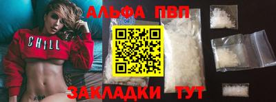 спайс Кингисепп