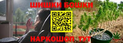 спайс Кингисепп