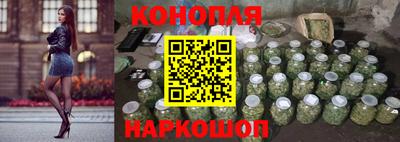 спайс Кингисепп