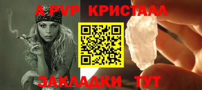 спайс Кингисепп