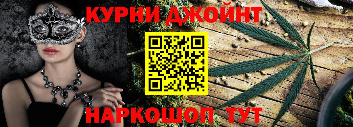 Каннабис сатива Барабинск